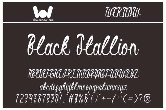 Black Stallion: The Premium Script Font for Bold Campaign Headlines