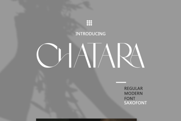 Chatara: A Designer's Honest Review for Real-World Branding