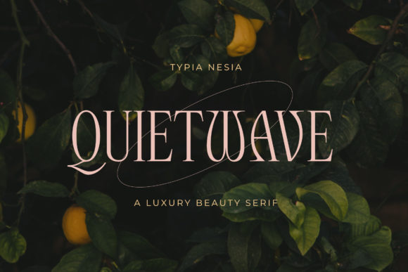 Quietwave: The Elegant Serif Font for Modern Web Design