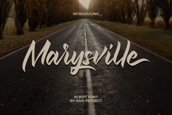 Review: Marysville Script Amp for Real-World Branding