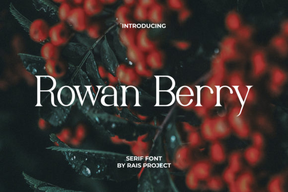 Rowan Berry: A Delicate Serif Typeface for Modern Web Design